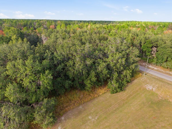 Lot 2 SW 146th Lane Road Ocala FL 34473 G5097831 image1