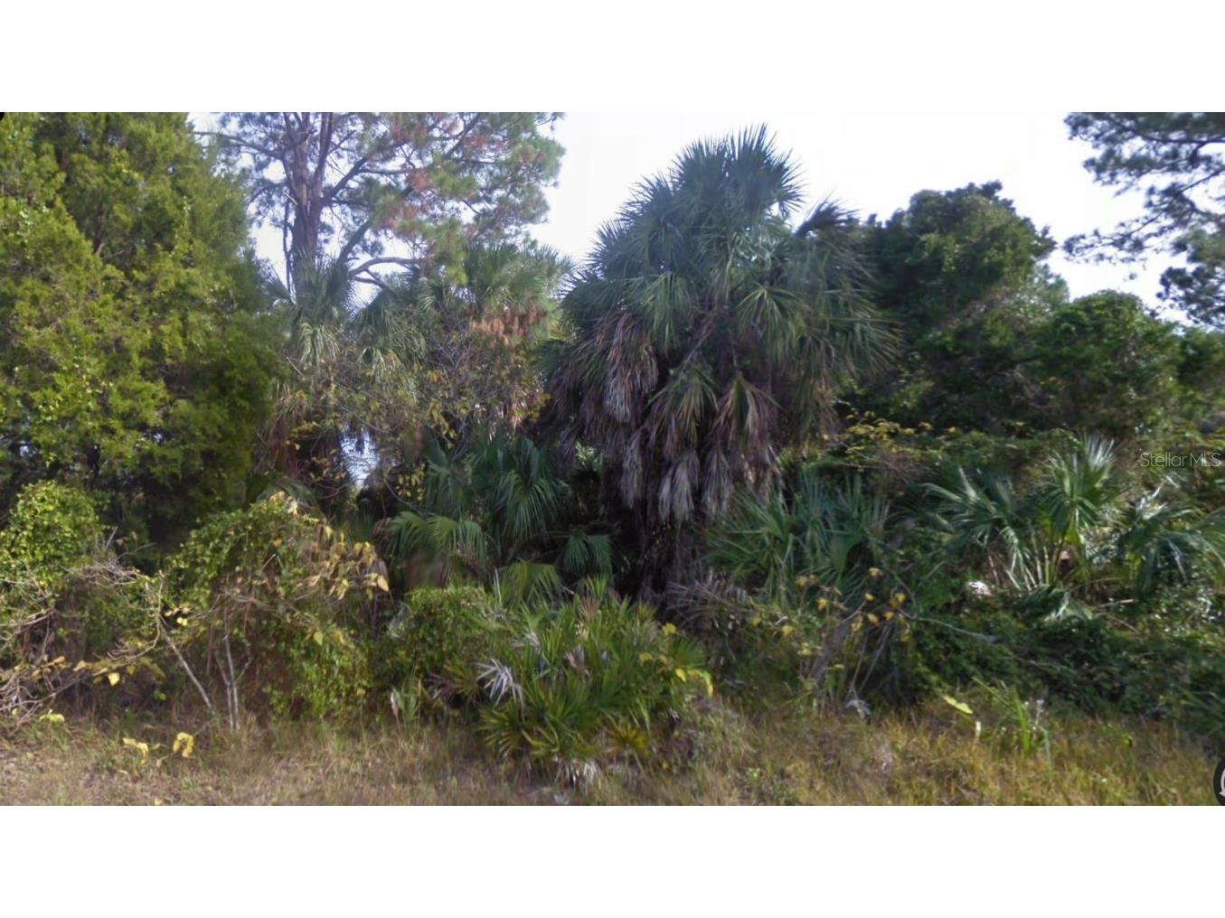 Lot 2 SW 165th Avenue Cedar Key FL 32625 C7476035 image5