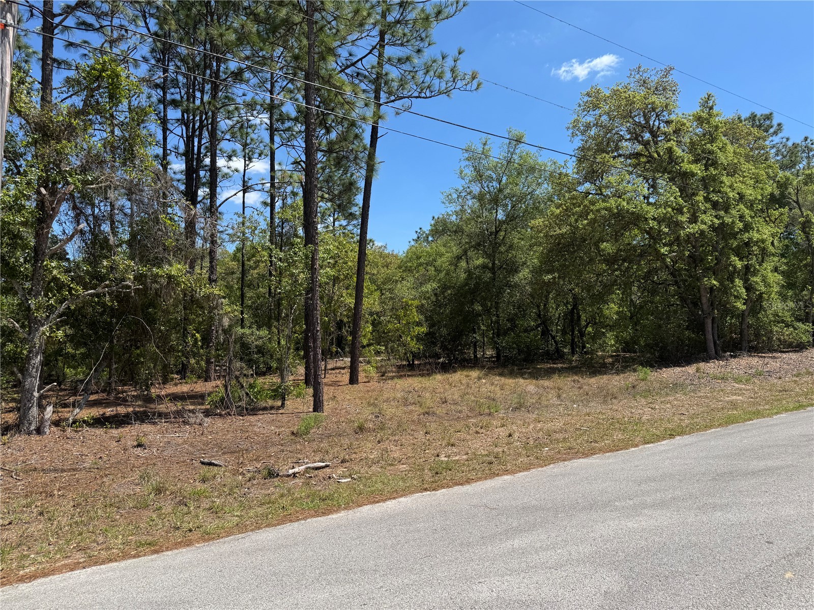 Lot 2 SW 206 Avenue Dunnellon FL 34431 OM723007 image1