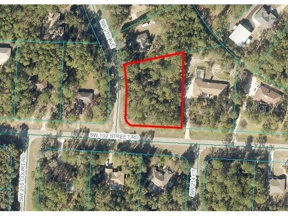 Lot 2 Sw 215th Ave Dunnellon FL 34431 - RAINBOW RIVER OM694286 image1