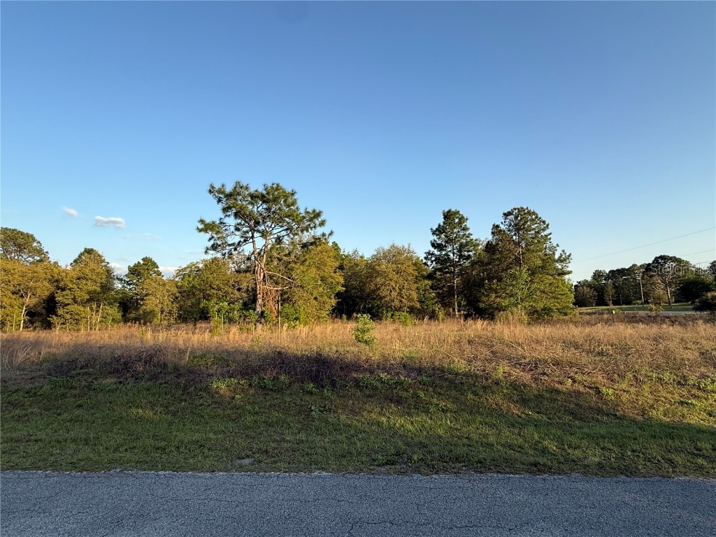 Lot 2 SW 65th Loop Dunnellon FL 34432 S5124979 image1