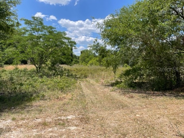 Lot 2 SW County Road 313 Trenton FL 32693 GC512824 image1