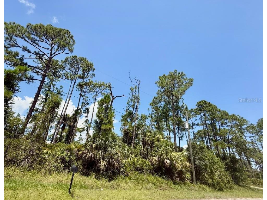Lot 2 Titan Street North Port FL 34286 C7512970 image1