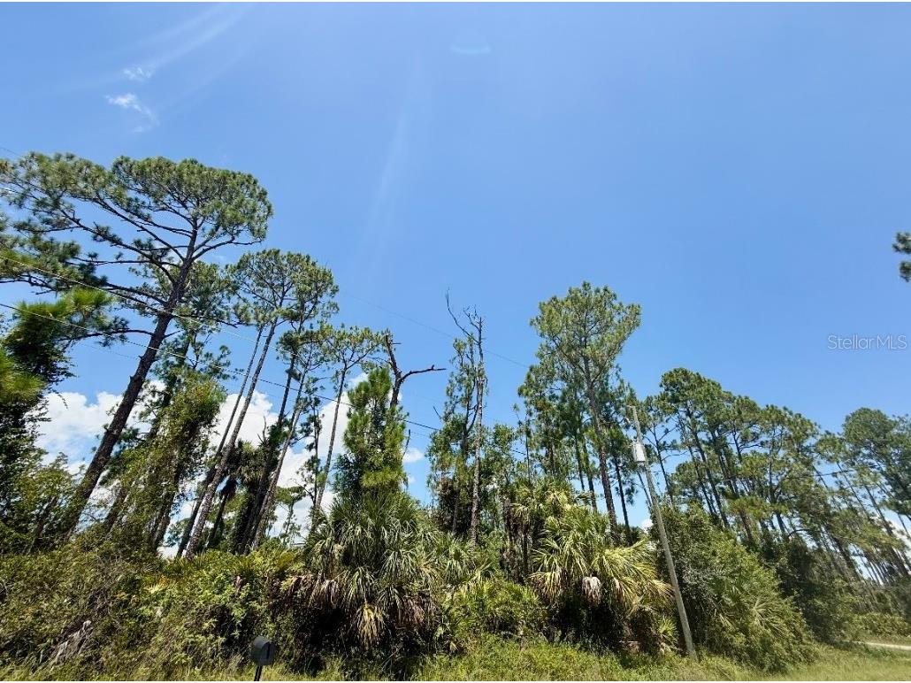 Lot 2 Titan Street North Port FL 34286 C7512970 image3