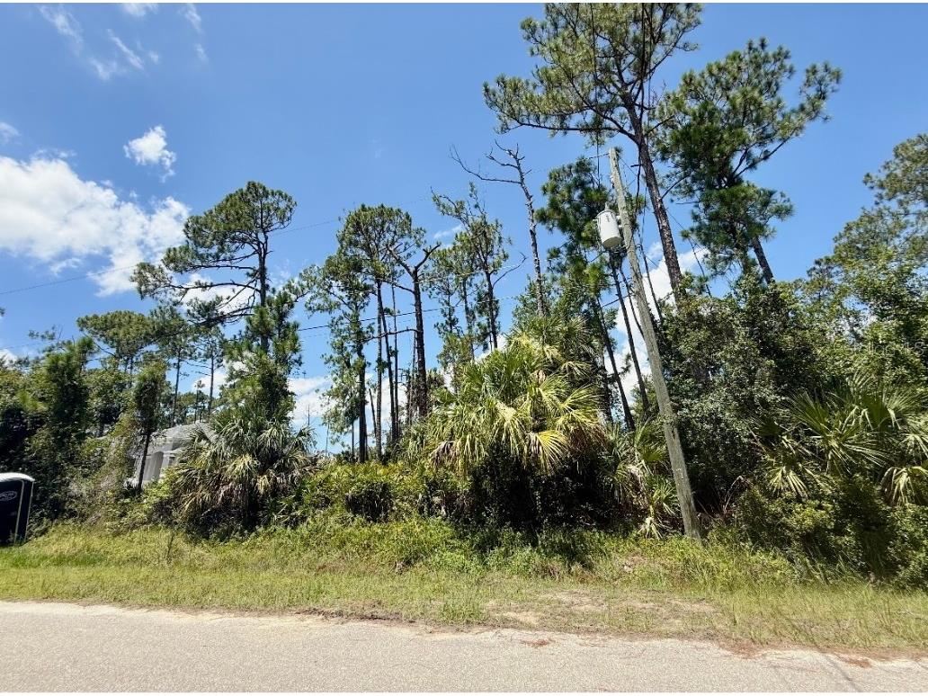 Lot 2 Titan Street North Port FL 34286 C7512970 image4