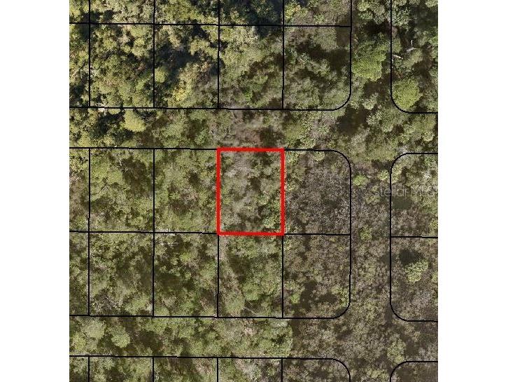 Lot 2 Volusia Avenue Titusville FL 32780 C7484142 image1