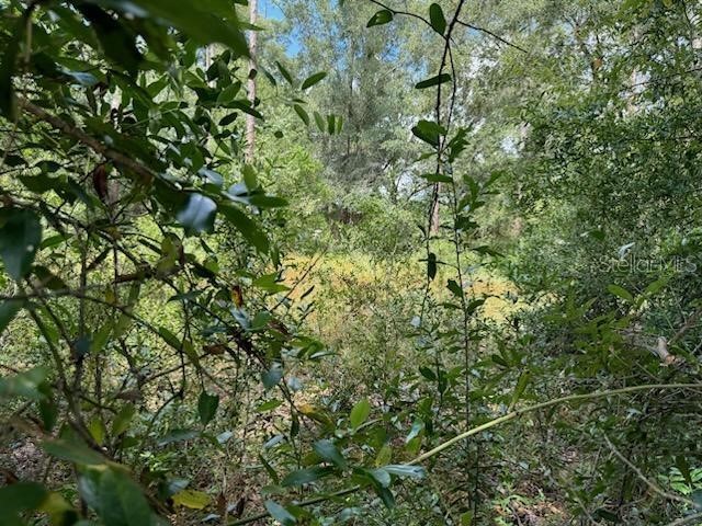 Lot 202122 SW Peach Blossom Street Dunnellon FL 34431 - Tiger Lake OM686205 image1