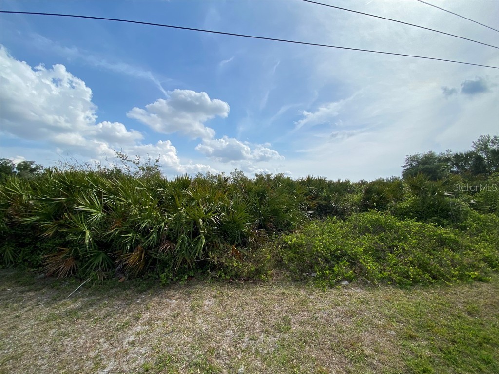 Lot 20 & 21 Americana Avenue North Port FL 34291 A4645869 image2