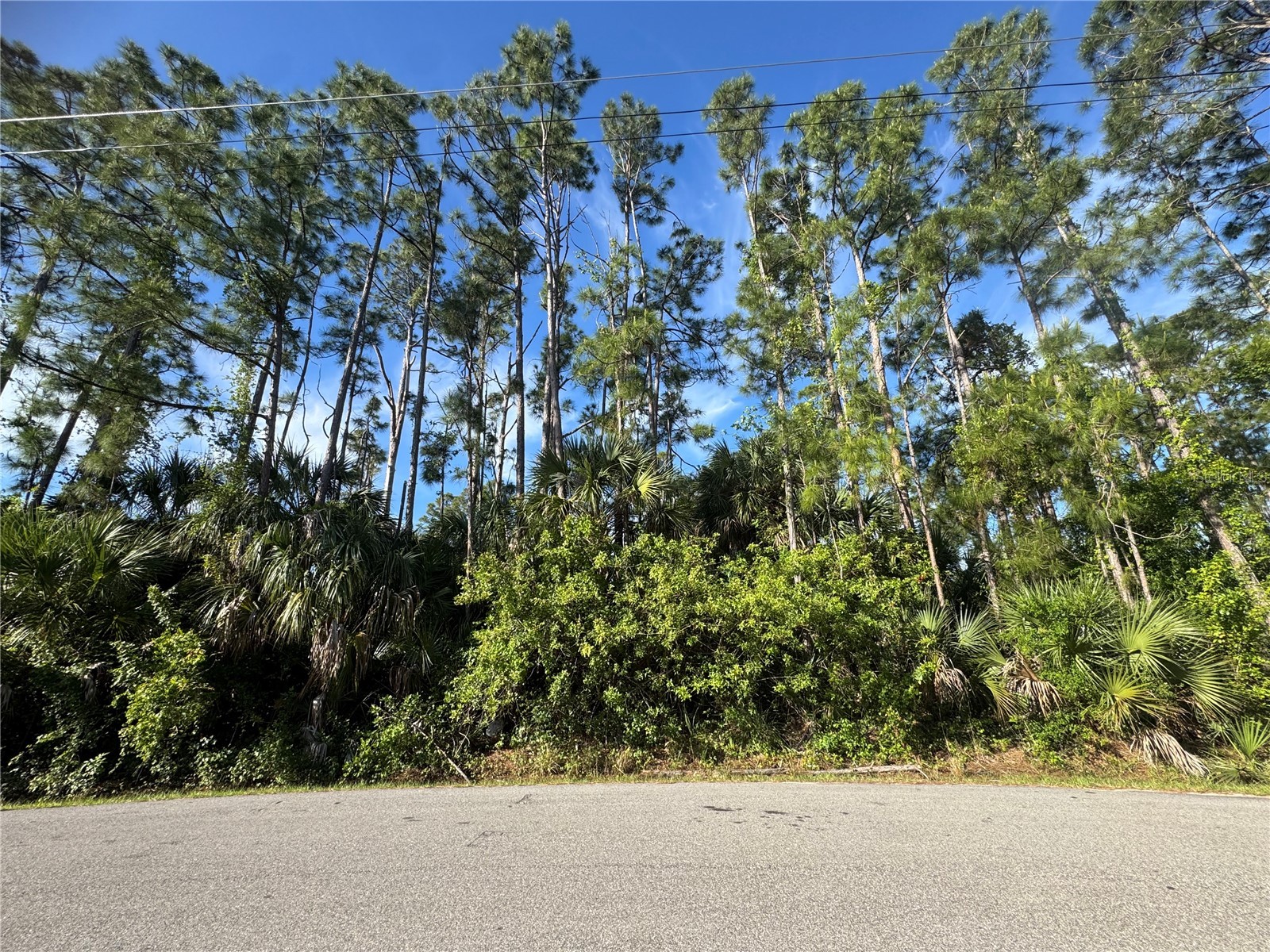 Lot 20 & 21 Gaucho Terrace North Port FL 34286 C7524922 image2