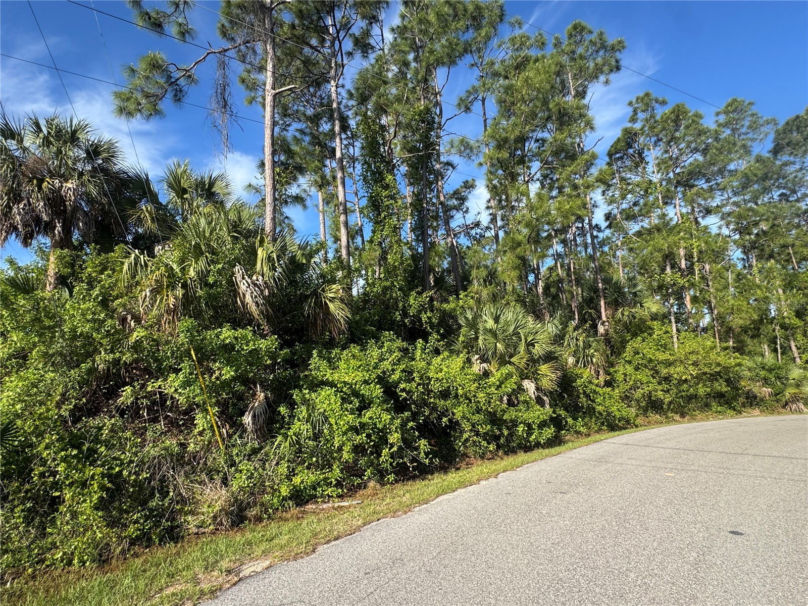 Lot 20 & 21 Gaucho Terrace North Port FL 34286 C7524922 image5