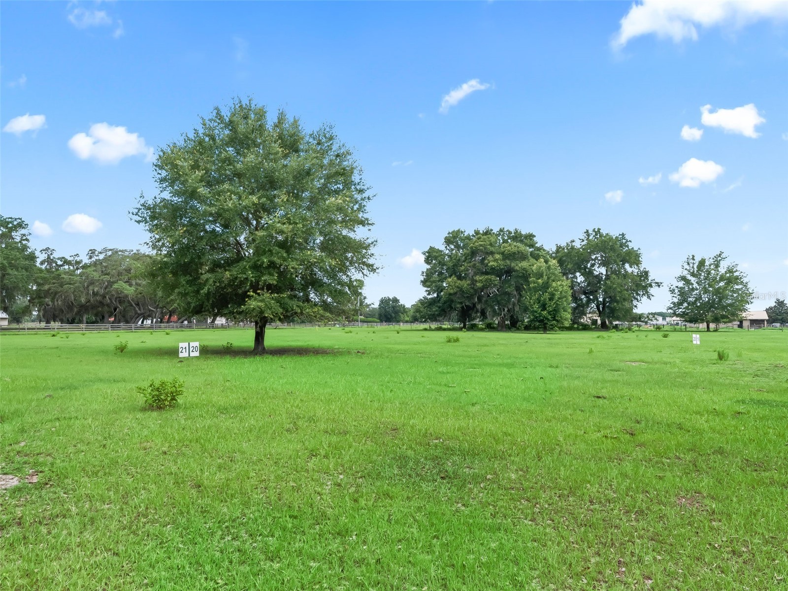 Lot 20 Cr 543 Bushnell FL 33513 TB8523189 image1