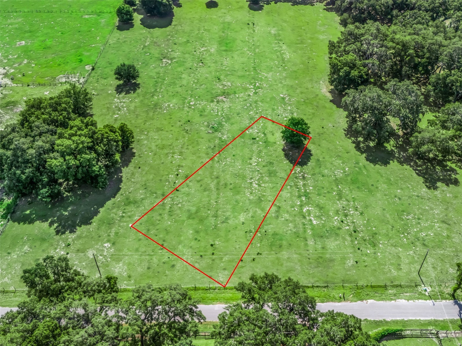 Lot 20 Cr 543 Bushnell FL 33513 TB8523189 image2