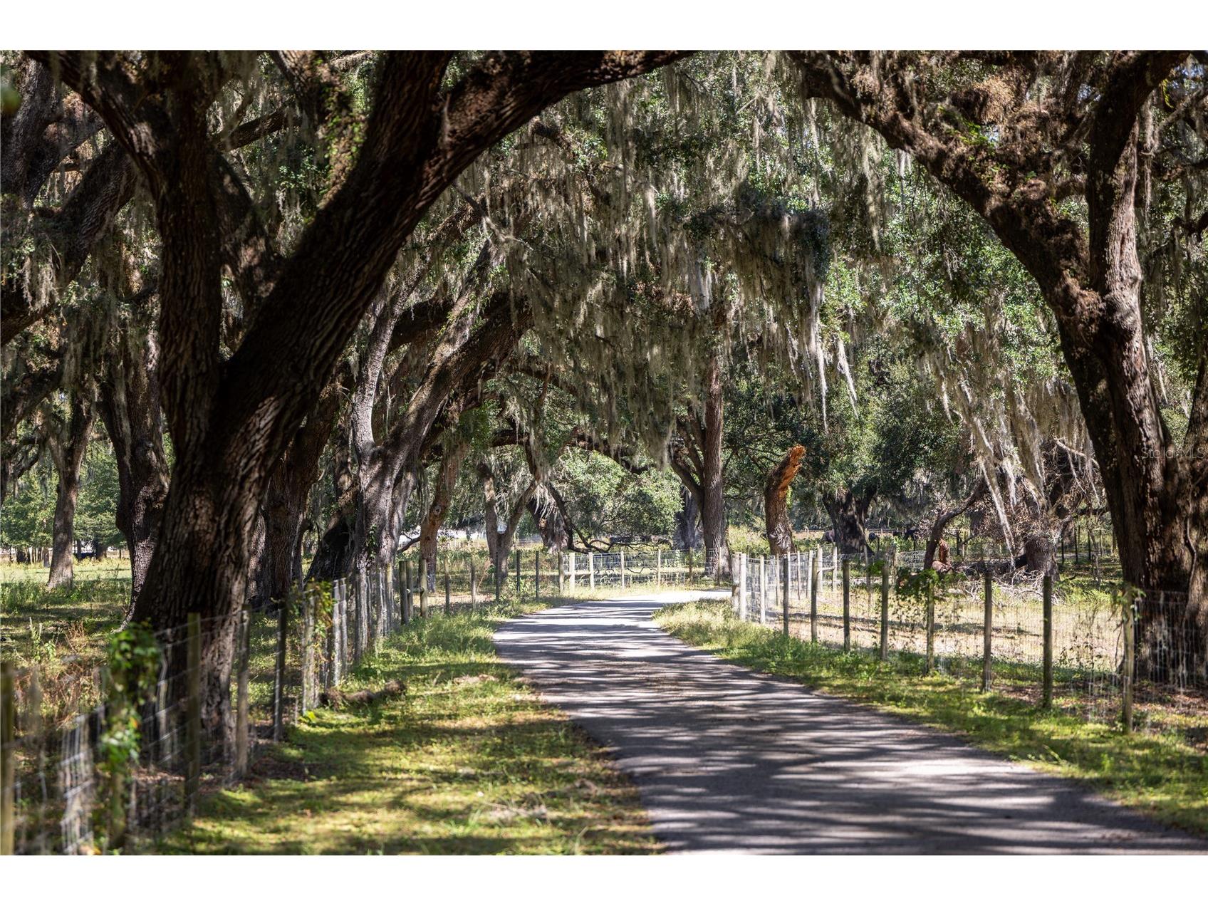 Lot 20 Cr 543 Bushnell FL 33513 TB8523189 image35
