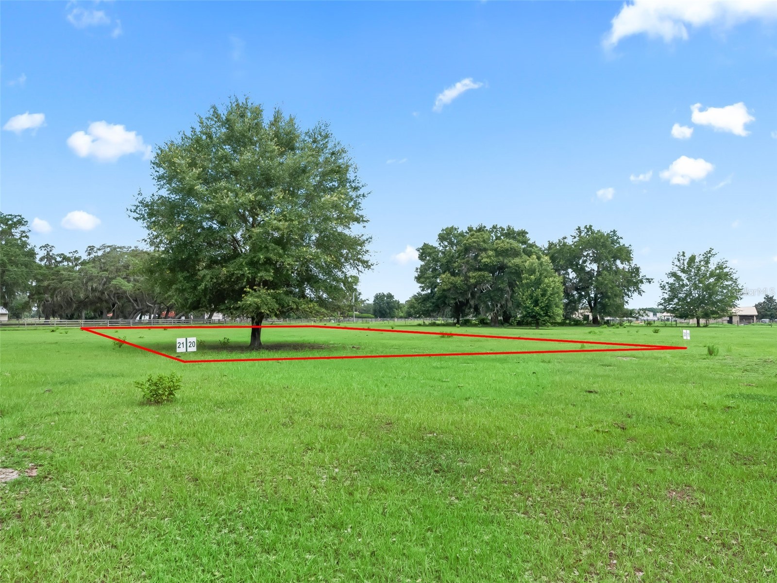 Lot 20 Cr 543 Bushnell FL 33513 TB8523189 image4