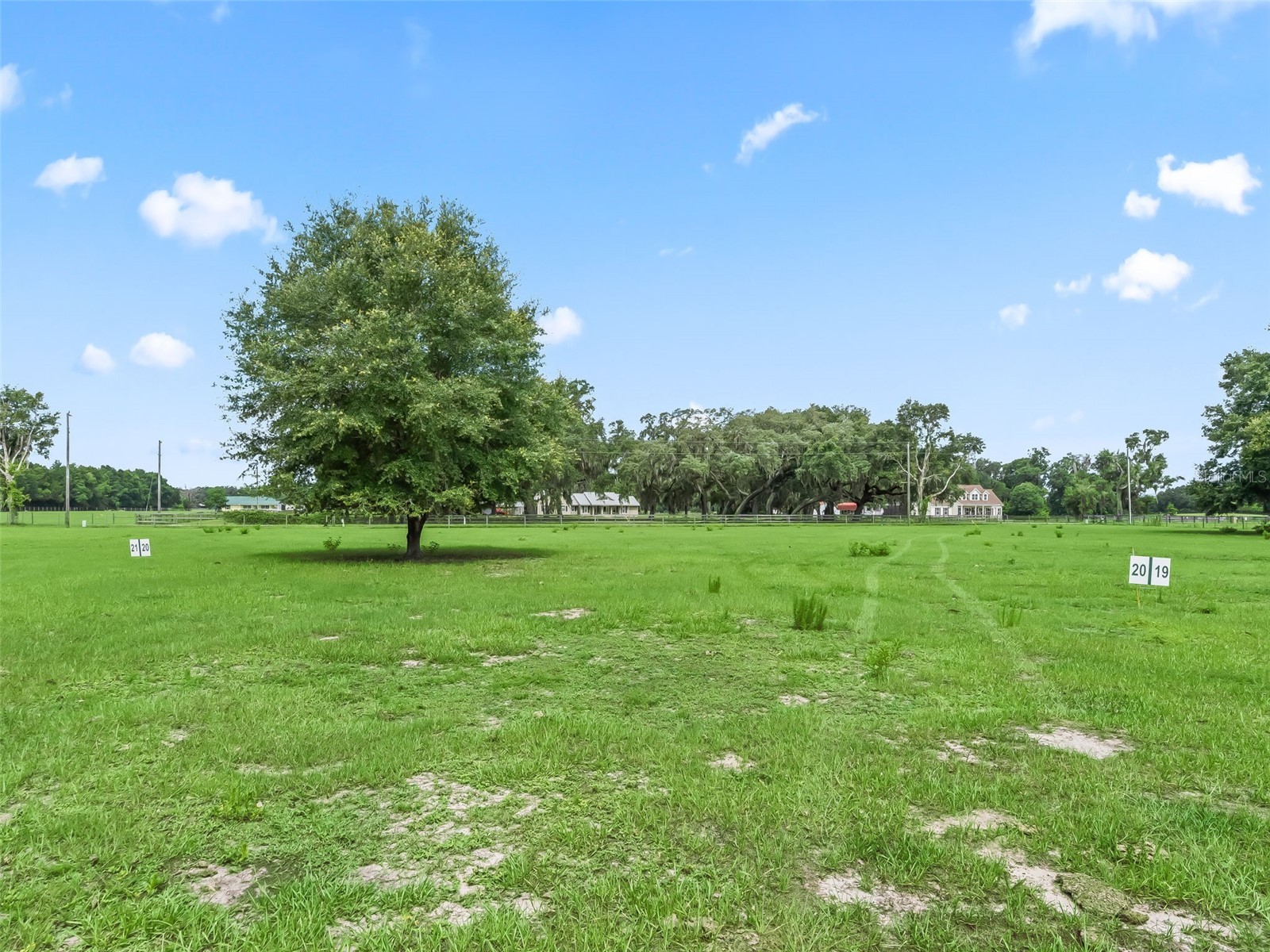 Lot 20 Cr 543 Bushnell FL 33513 TB8523189 image6