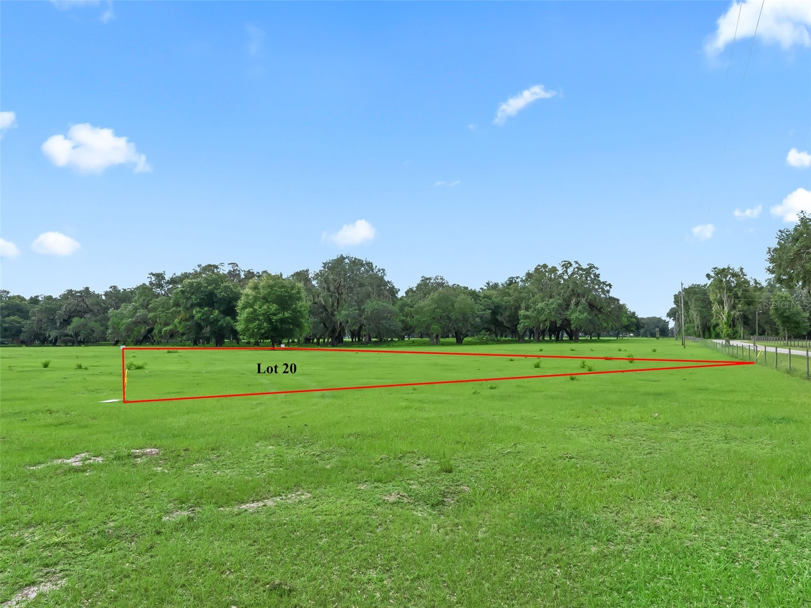 Lot 20 Cr 543 Bushnell FL 33513 TB8523189 image7