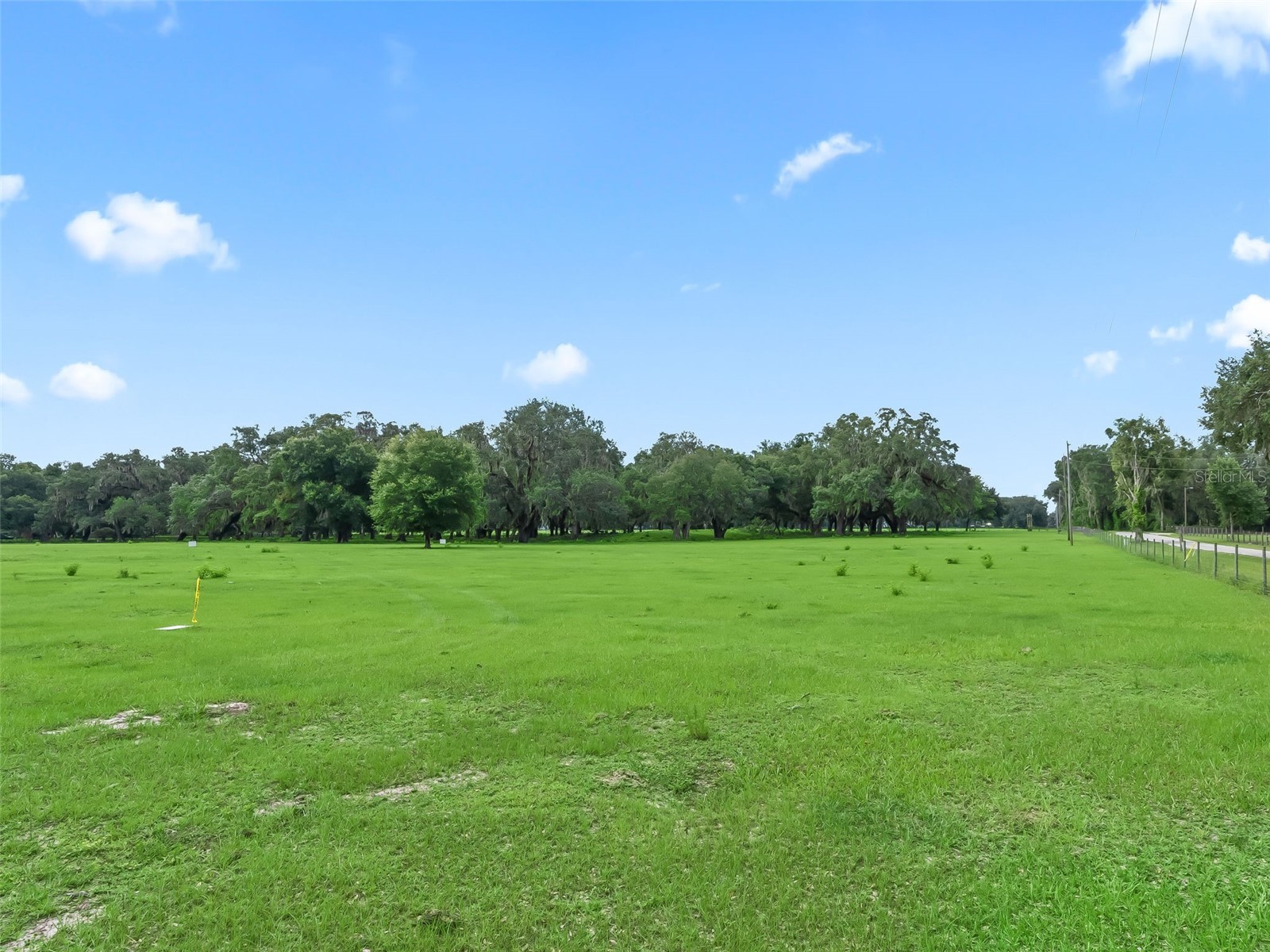 Lot 20 Cr 543 Bushnell FL 33513 TB8523189 image9