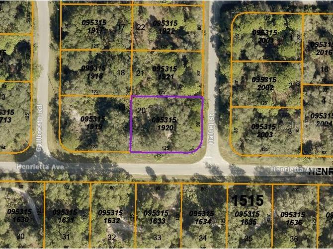 Lot 20 Haftel Street North Port FL 34291 C7472481 image1