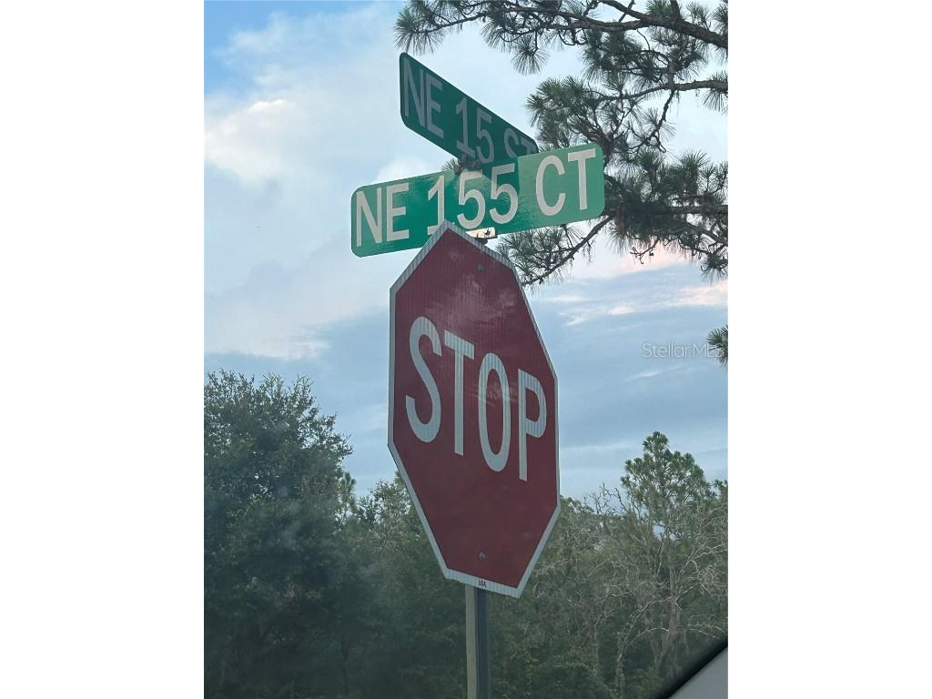 Lot 20 NE 155th Court Williston FL 32696 O6225911 image1