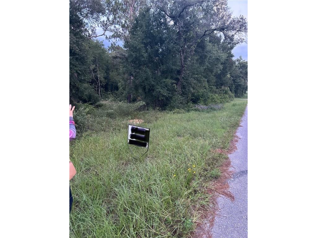 Lot 20 NE 155th Court Williston FL 32696 O6225911 image5