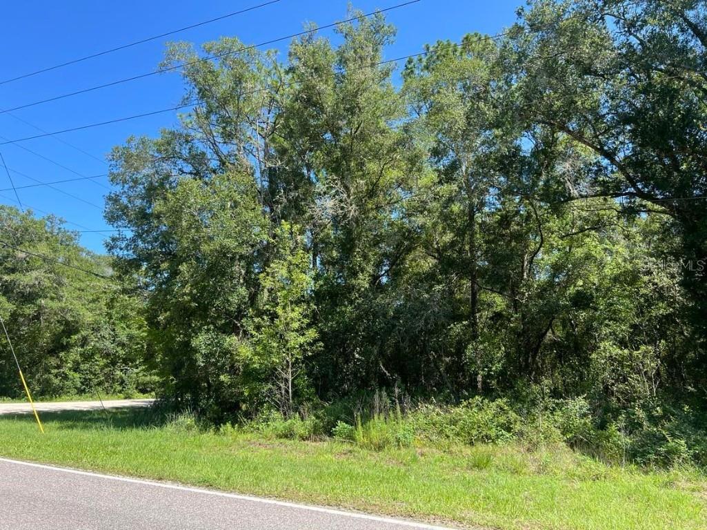 Lot #20 Richardson Boulevard Webster FL 33597 U8248648 image1