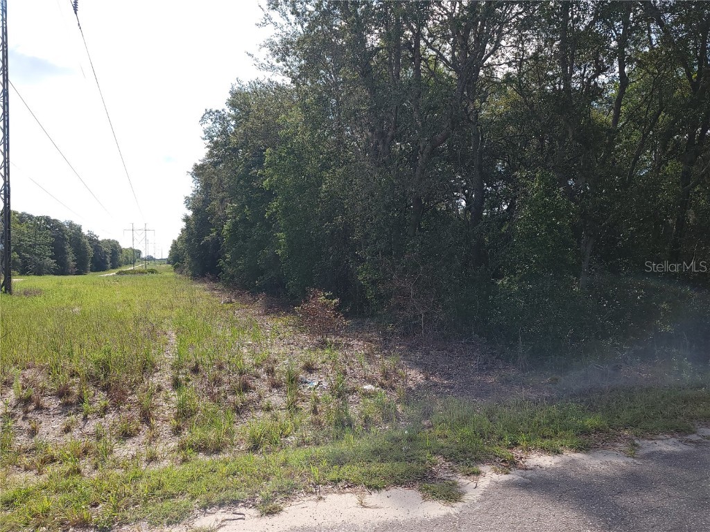 Lot 20 SE Fisher Lane Pass Ocklawaha FL 32179 OM712974 image3