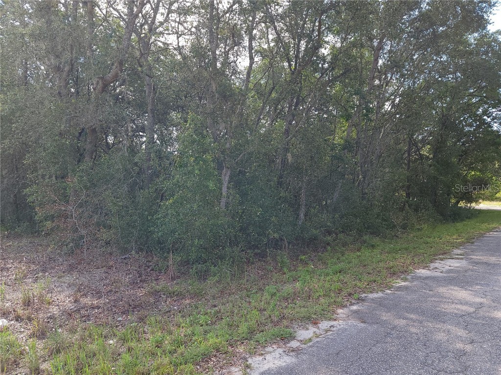 Lot 20 SE Fisher Lane Pass Ocklawaha FL 32179 OM712974 image4