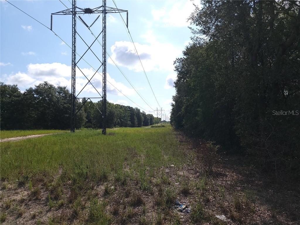 Lot 20 SE Fisher Lane Pass Ocklawaha FL 32179 OM712974 image5