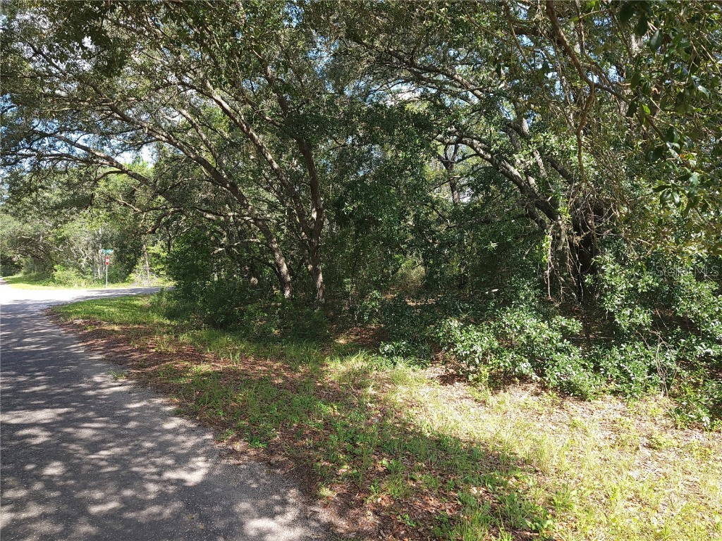 Lot 20 SE Fisher Lane Pass Ocklawaha FL 32179 OM712974 image7
