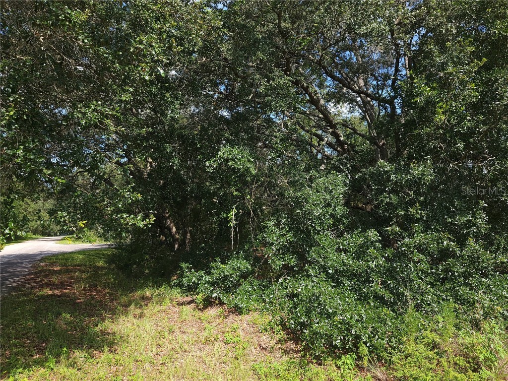 Lot 20 SE Fisher Lane Pass Ocklawaha FL 32179 OM712974 image8