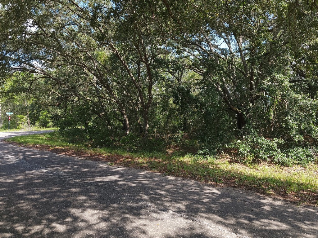 Lot 20 SE Fisher Lane Pass Ocklawaha FL 32179 OM712974 image9