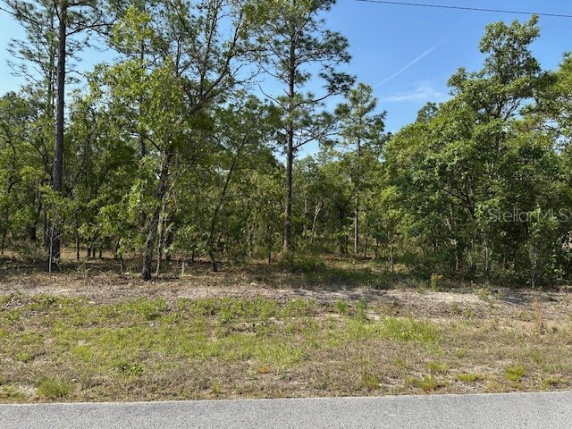 Lot 20 SW Anchor Blvd Dunnellon FL 34431 OM700912 image2