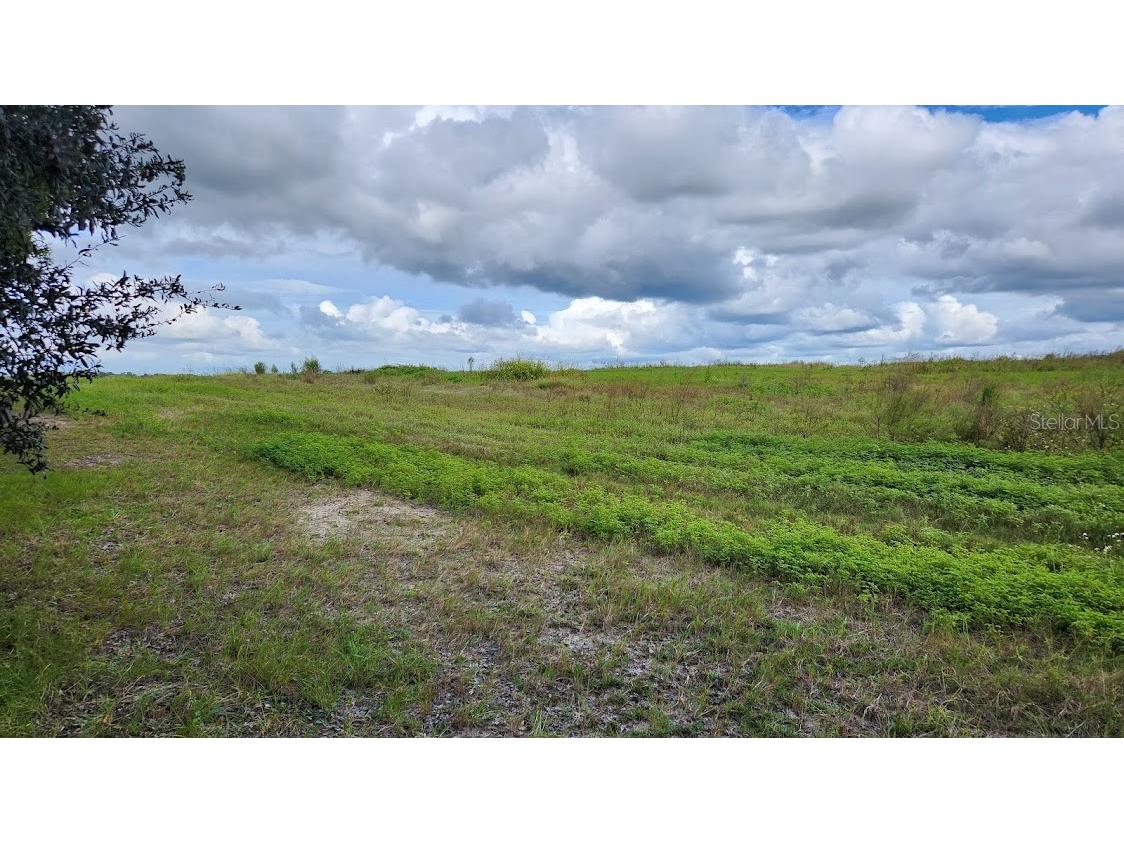 Lot 20 SW Ivy Place Dunnellon FL 34431 OM666932 image1