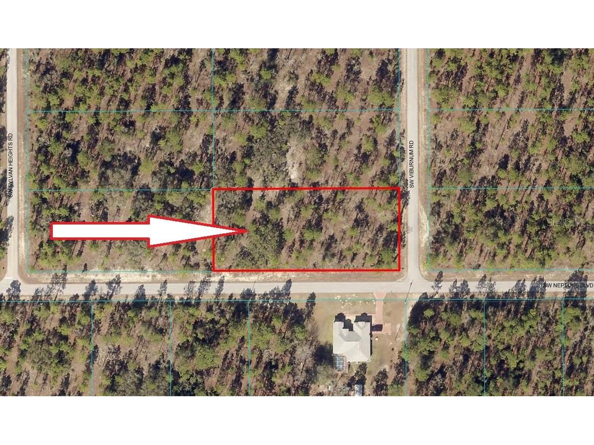 Lot 20 SW Neptune Dunnellon FL 34431 T3474119 image1