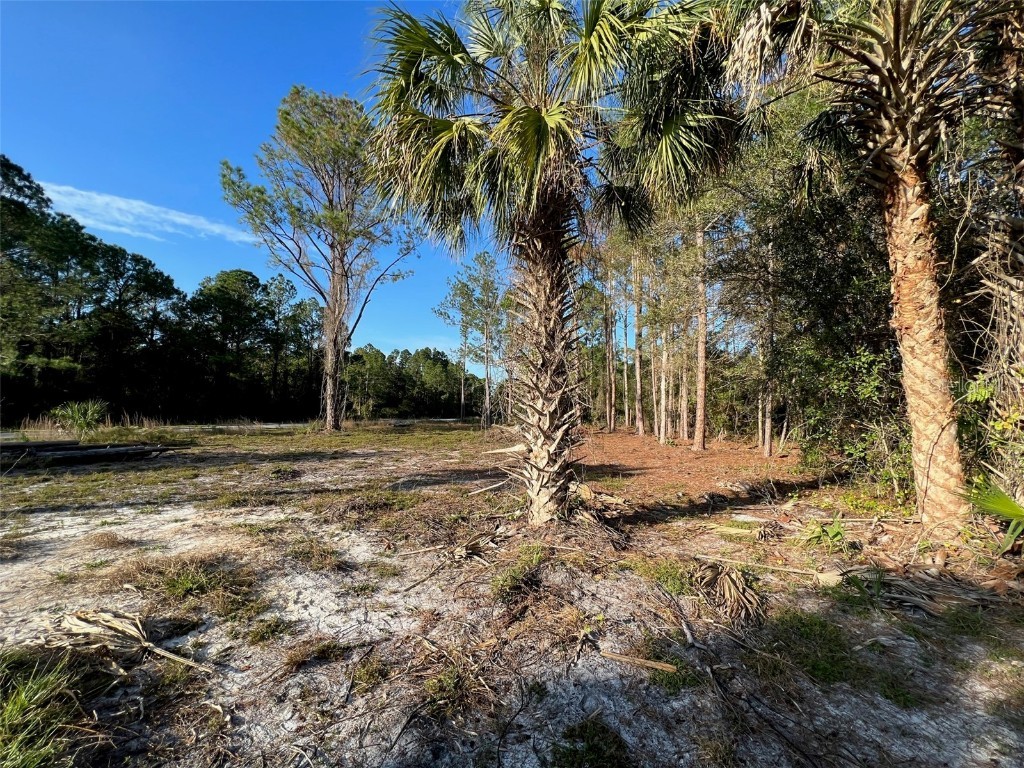 Lot 20 and Lot 21 Paradise Lakes Avenue Georgetown FL 32139 V4928093 image1