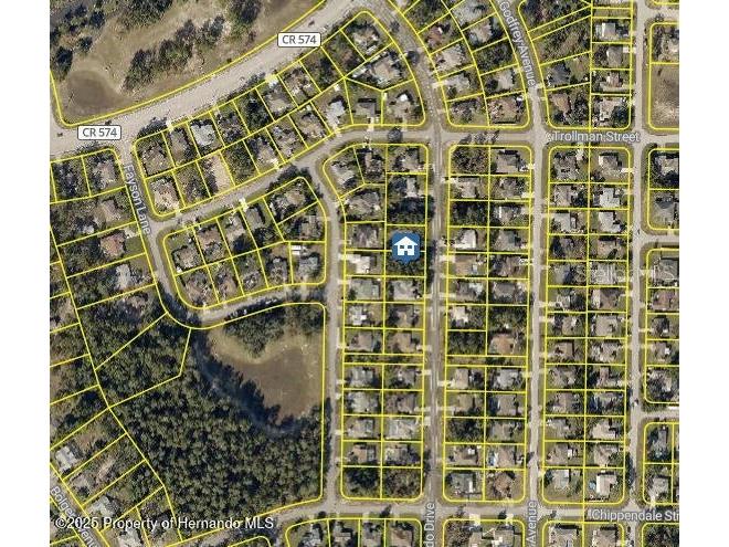 Lot 21 Coronado Drive Spring Hill FL 34609 W7878966 image3