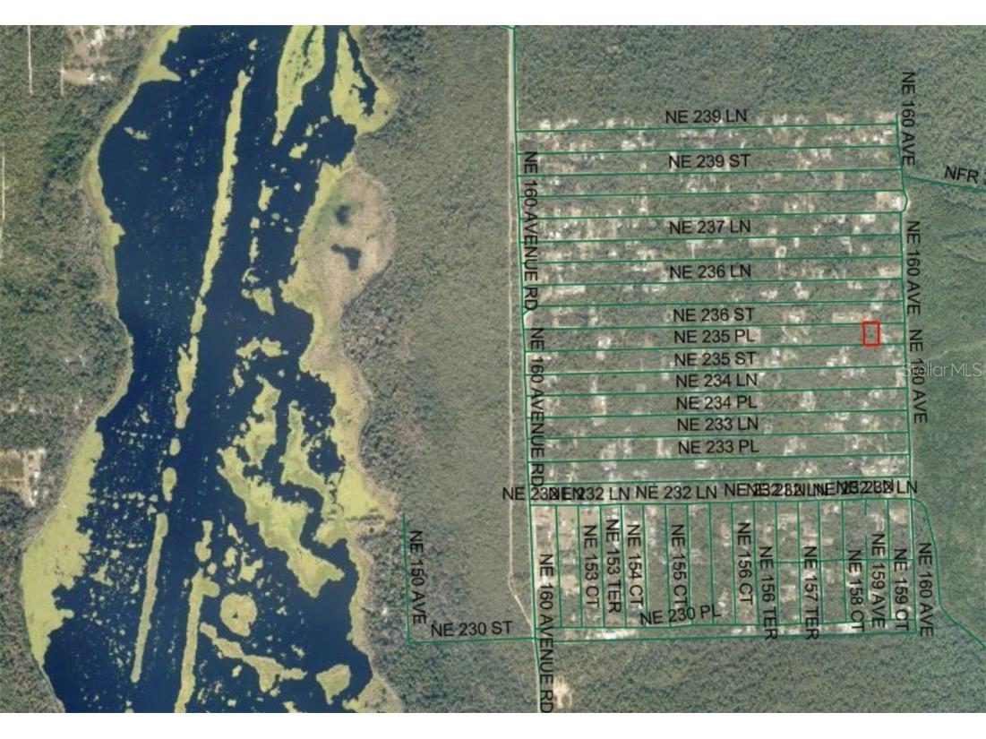 Lot 21 NE Street Fort Mc Coy FL 32134 OM709687 image2