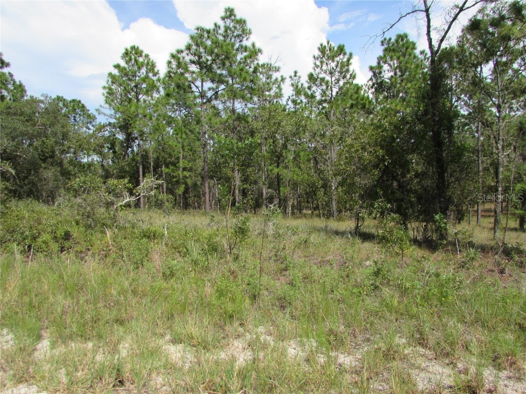 Lot 21 SE 130th Court Dunnellon FL 34431 OM664260 image1