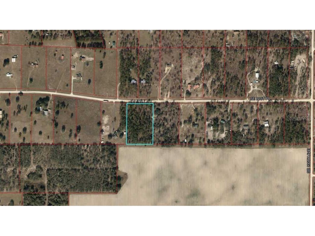 Lot 21 SE 21 Street Morriston FL 32668 OM682661 image1