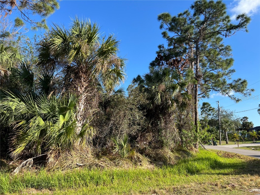 Lot 21 Simpson Avenue North Port FL 34286 A4641199 image1