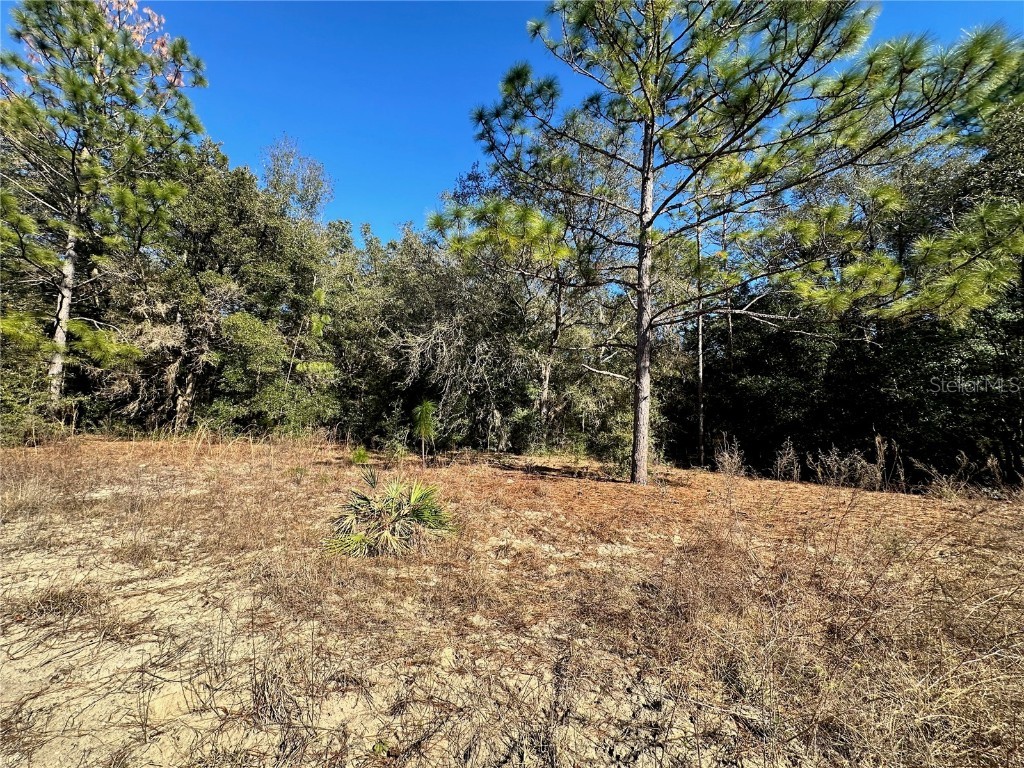 Lot 21 Sw 151st Terrace Ocala FL 34481 O6273005 image1