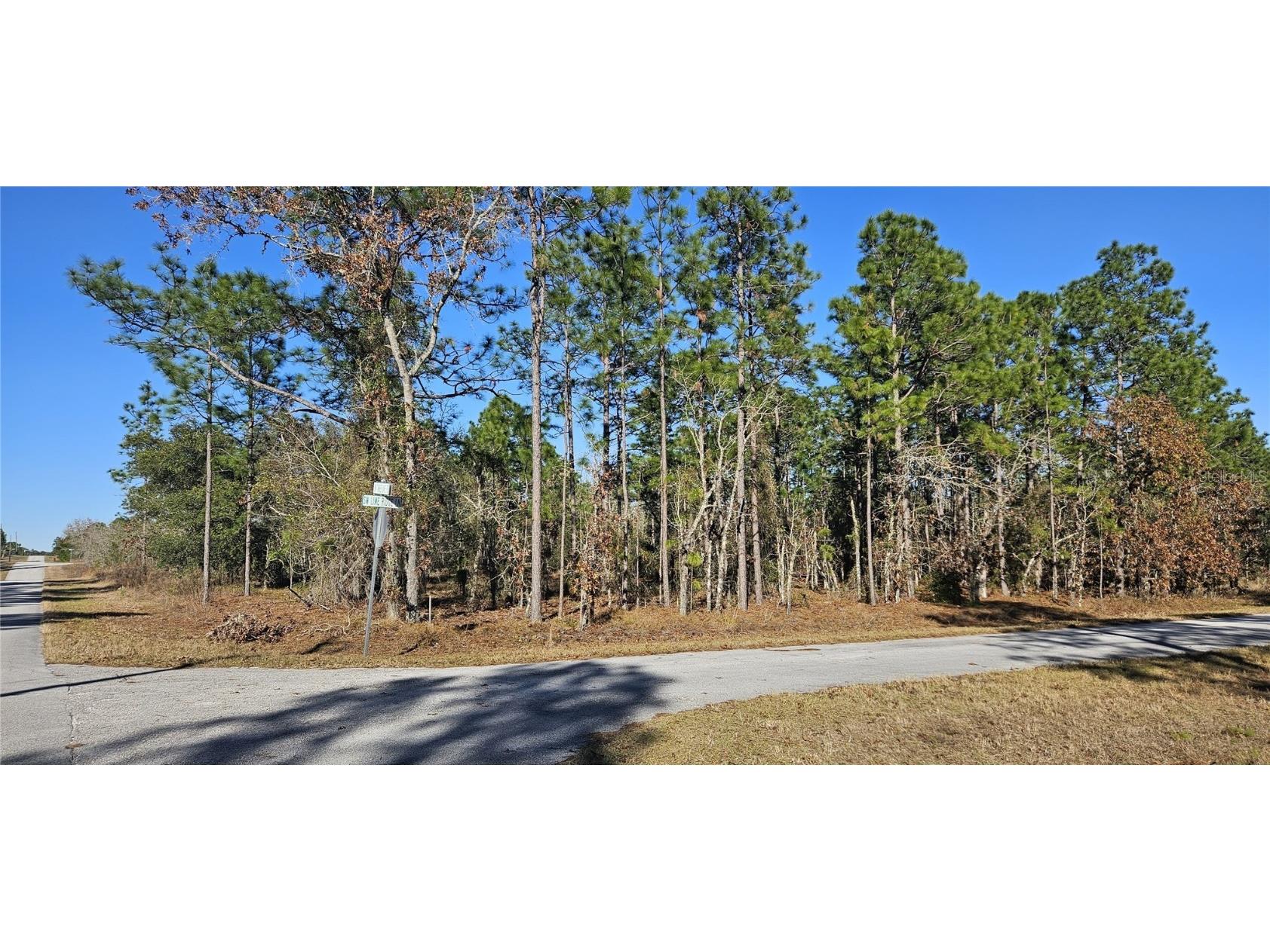 Lot 21 SW Lime Ridge Lane Dunnellon FL 34431 OM692125 image1