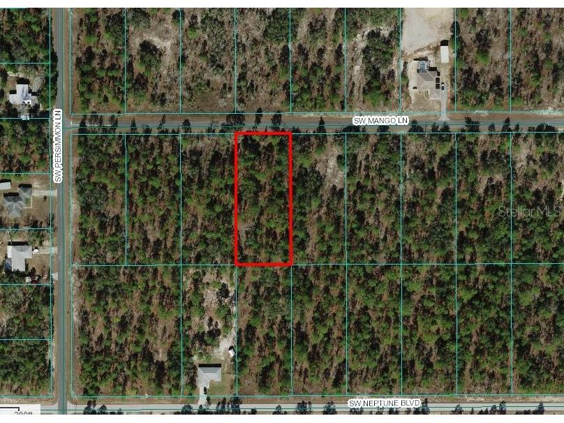Lot 21 SW Mango Lane Dunnellon FL 34431 OM670706 image1