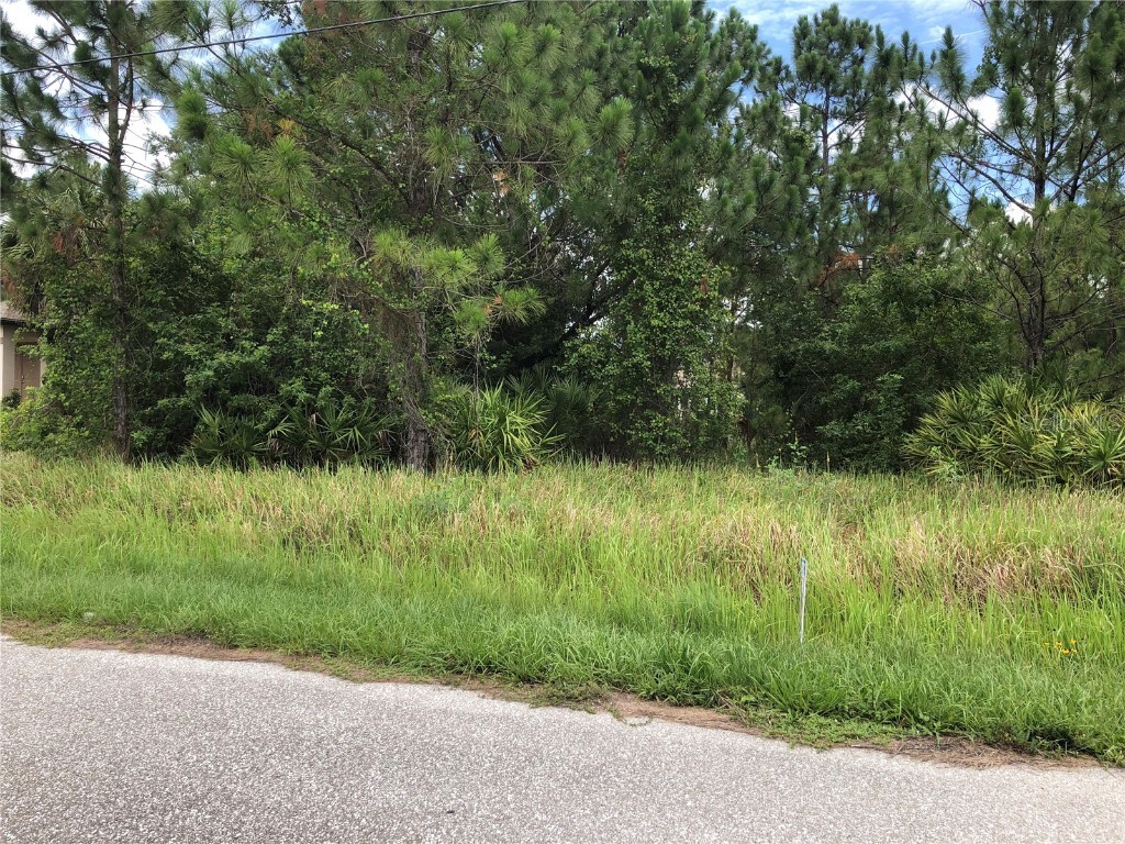 Lot 21 Veterans Boulevard North Port FL 34288 C7445220 image1