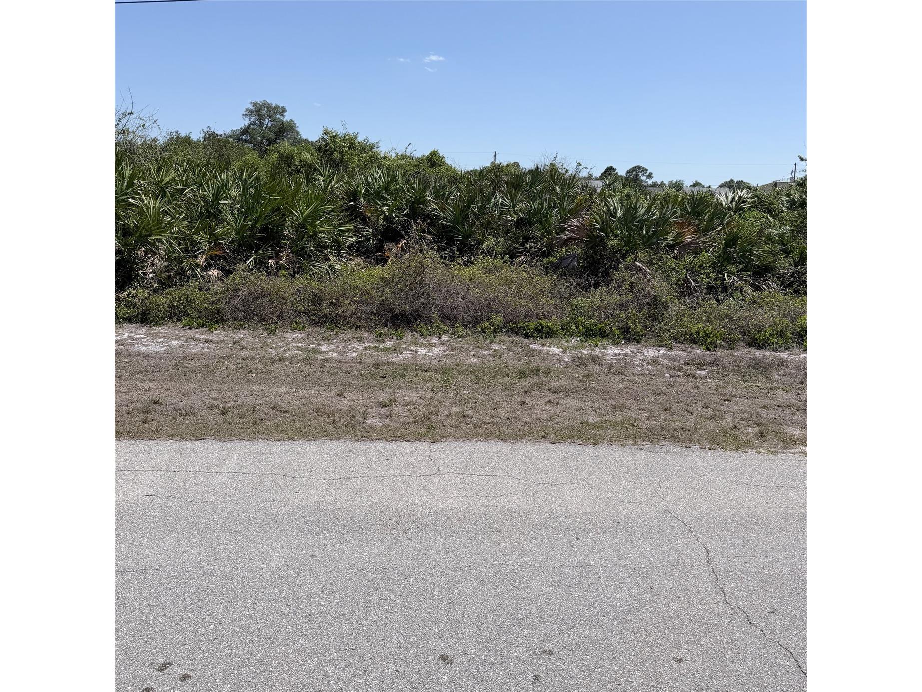 Lot 22 Americana Avenue North Port FL 34291 A4690898 image3