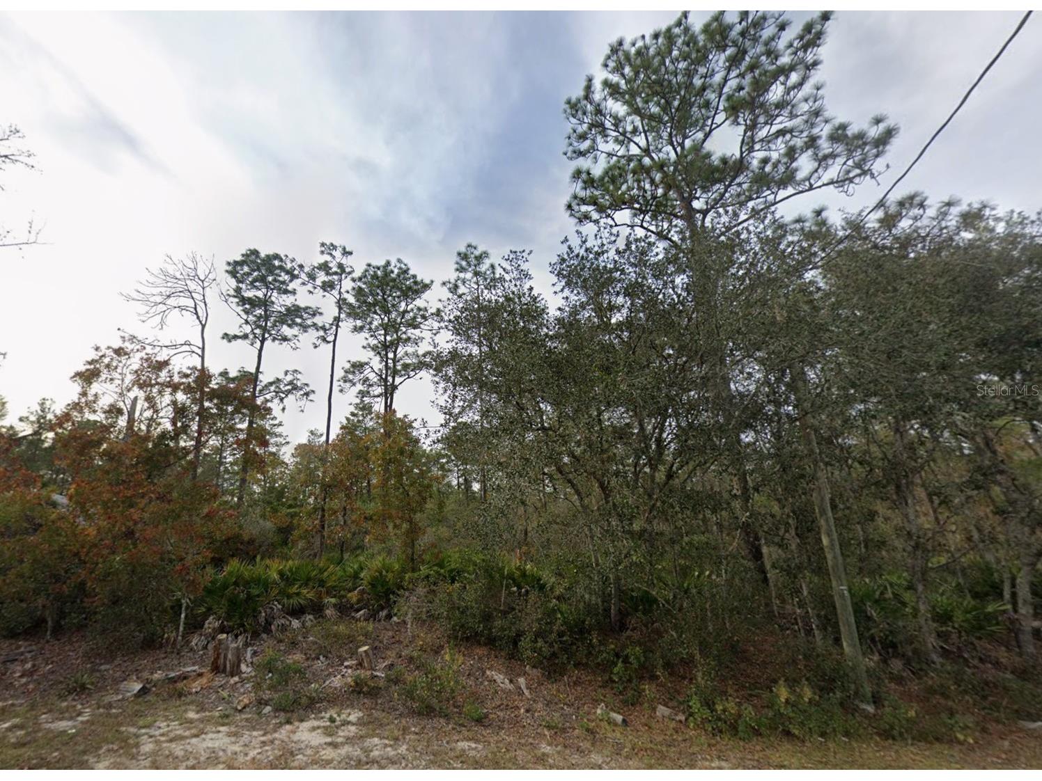Lot 22 Fisher Way Track Ocklawaha FL 32179 OM721896 image5