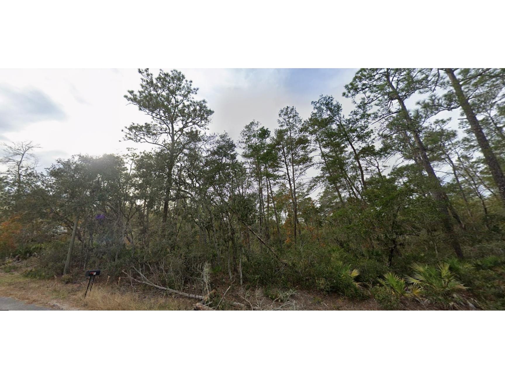 Lot 22 Fisher Way Track Ocklawaha FL 32179 OM721896 image6