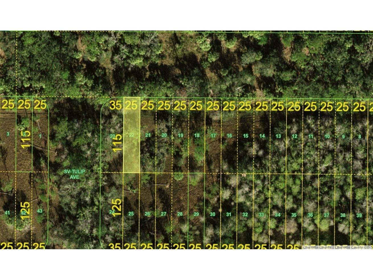 Lot 22 Inaccessible Road Punta Gorda FL 33982 A4599972 image1