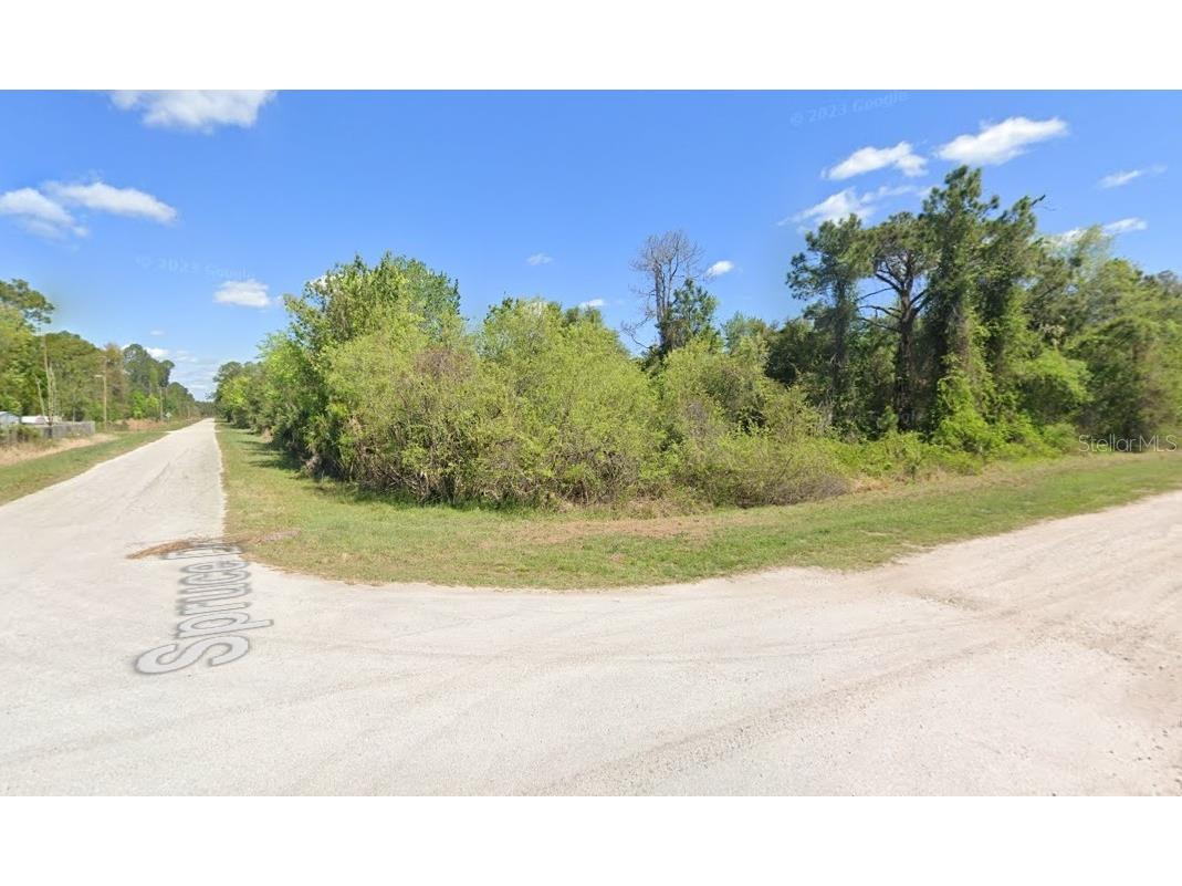Lot 22 & Lot 21 Spruce Drive Georgetown FL 32139 O6253467 image1