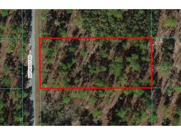 Lot 22 NW Holly Road Dunnellon FL 34431 OM676818 image1